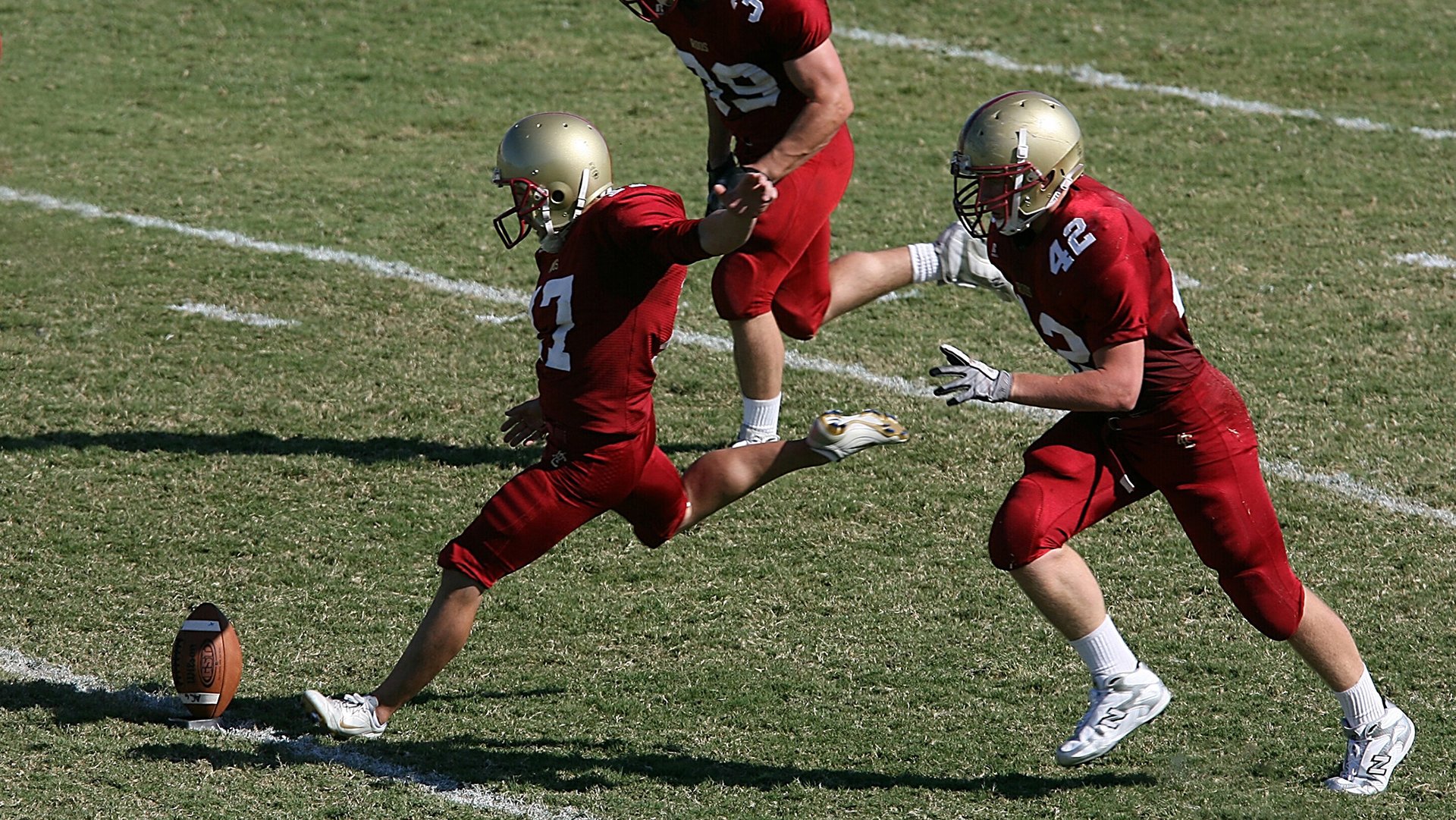 开云投注-官方马术联合队医组建备战奥运，马术国家队